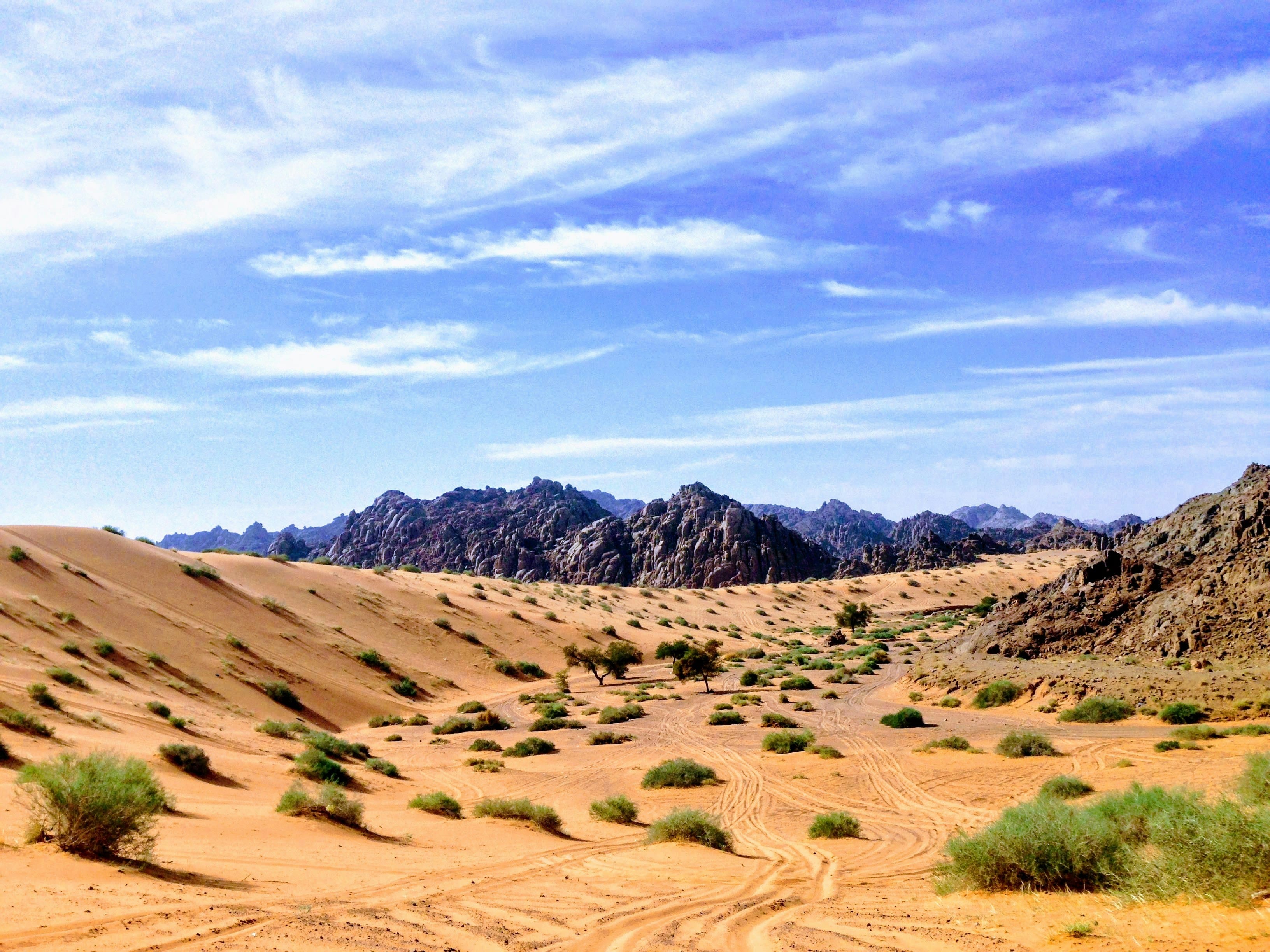 The most beautiful desert adventures you can have in Saudi Arabia